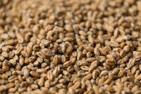 products Wheat Malt IMG 1759 1  69334.1568784417.1280.1280