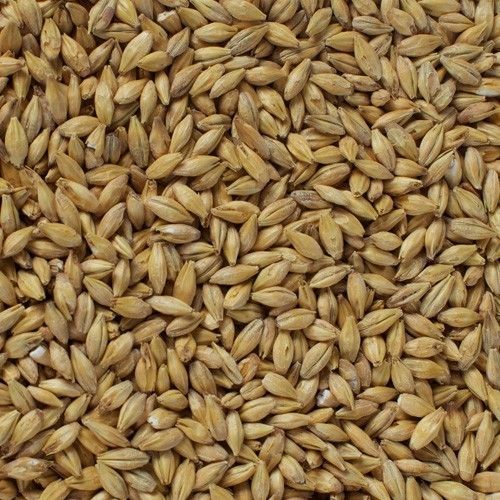 products gra1747 acidulated malt best malt per kg briess weyermann joe white simpsons gladfield  74077.1568947259.1280.1280