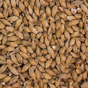 Brewing supplies - ale malt