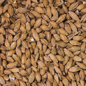 products gra7404 light lager malt 2  31812.1568783083.1280.1280