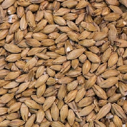 vienna malt for beer brewing